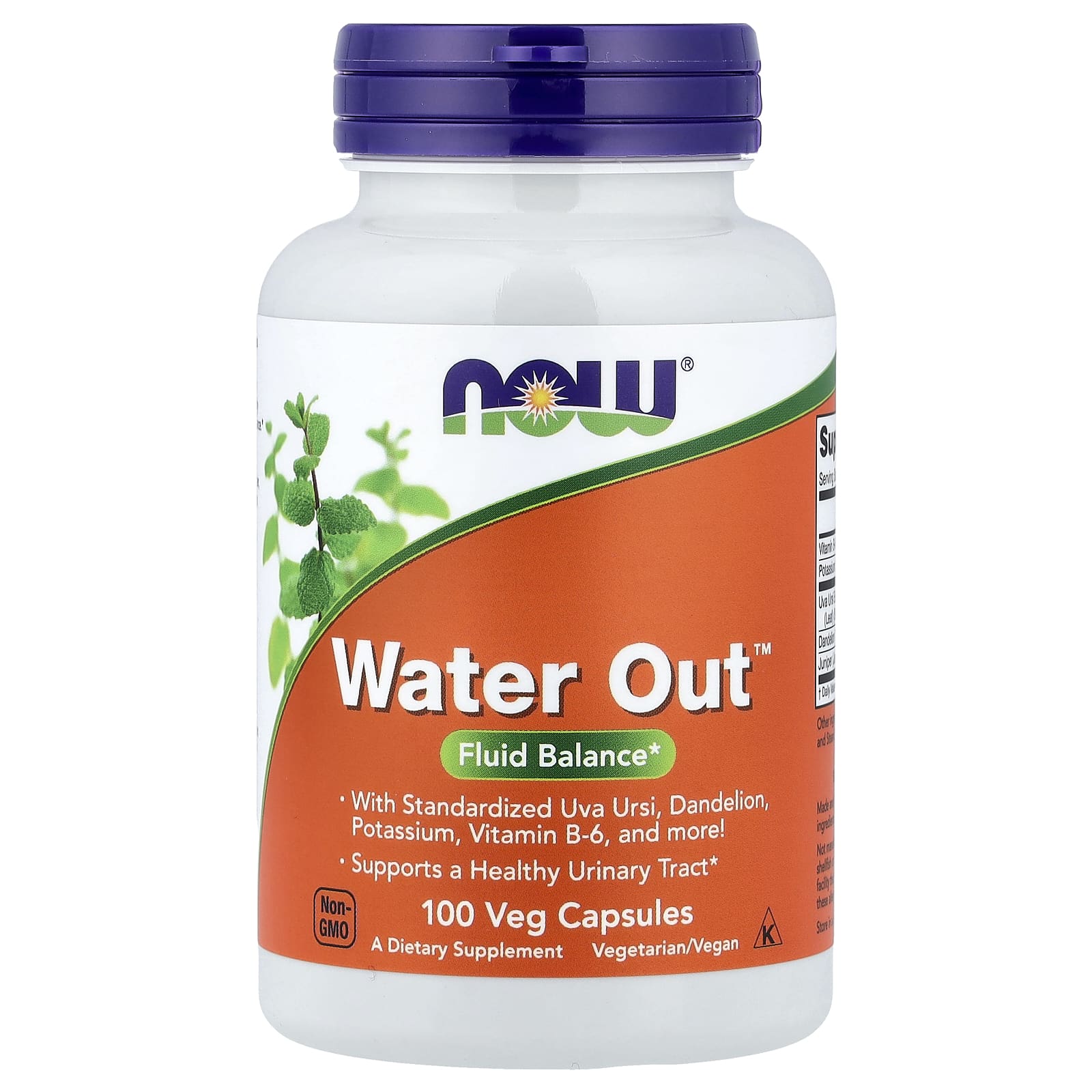 now-foods-water-outtm-100-15373