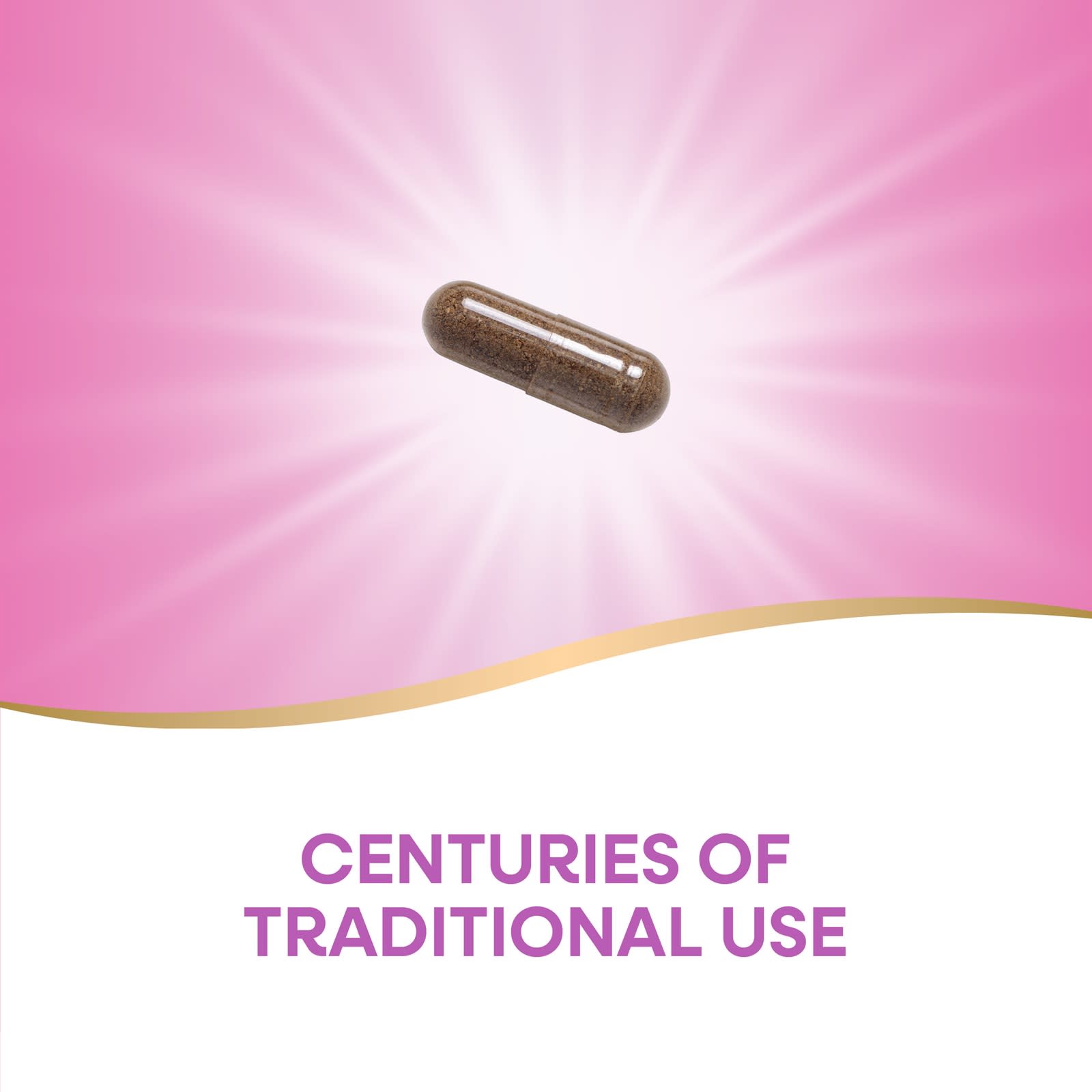 Nature's Way, 聖潔莓純素食膠囊，400 毫克，100 粒