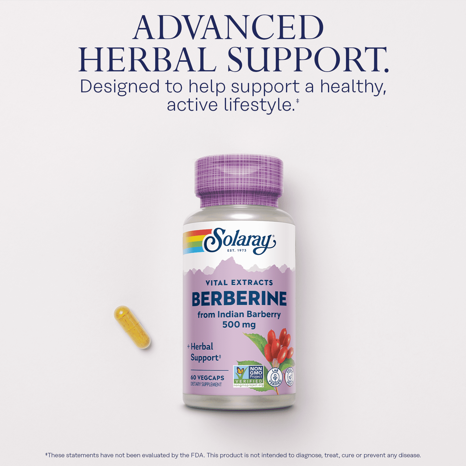 Solaray, Berberine, 500mg, 60 VegCaps