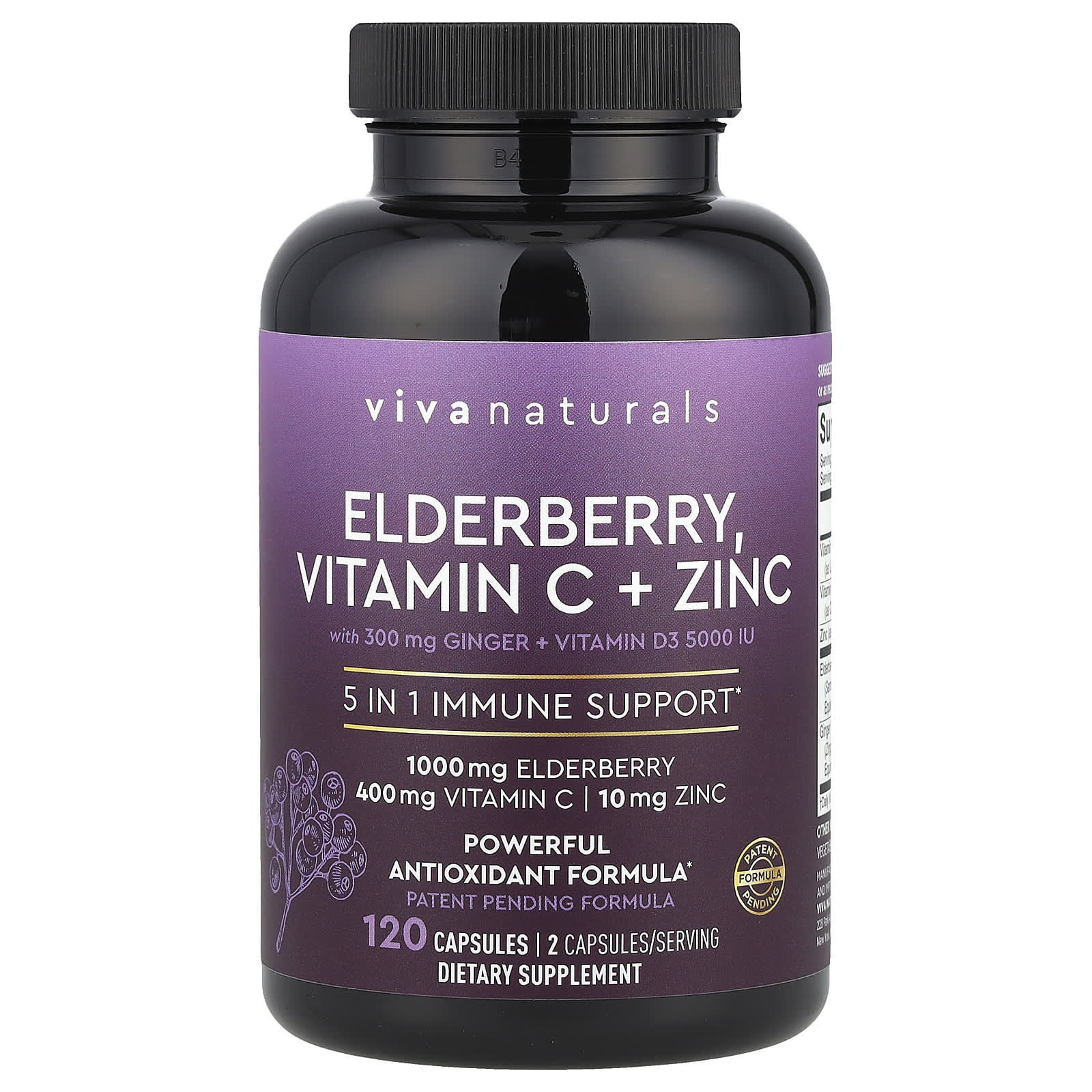 Viva Naturals, 接骨木果，維他命 C + 鋅，120 粒膠囊