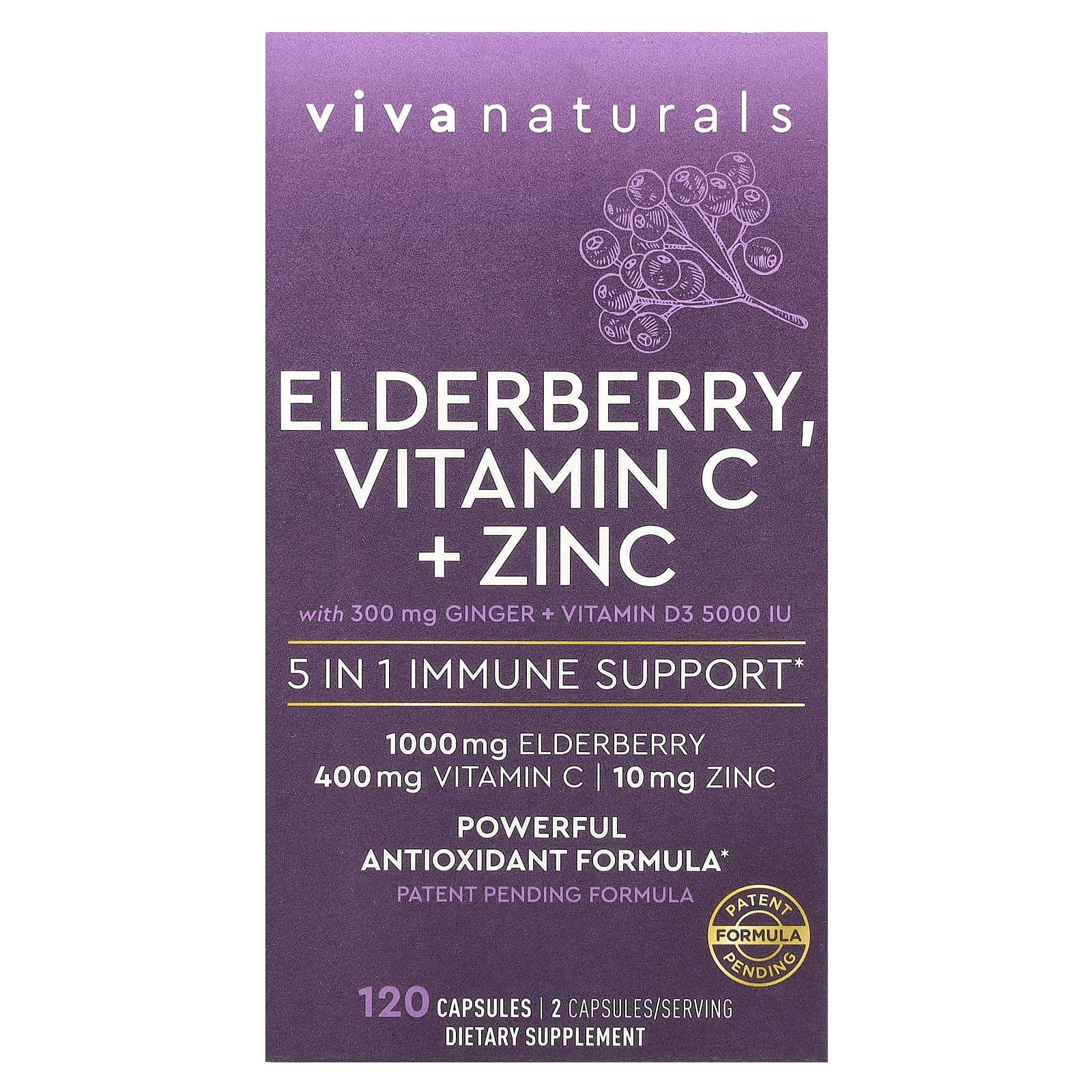 Viva Naturals, 接骨木果，維他命 C + 鋅，120 粒膠囊
