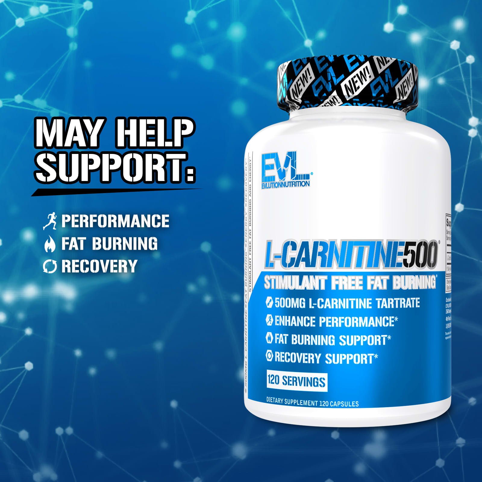 EVLution Nutrition, L-Carnitine500®，500 毫克，120 粒膠囊